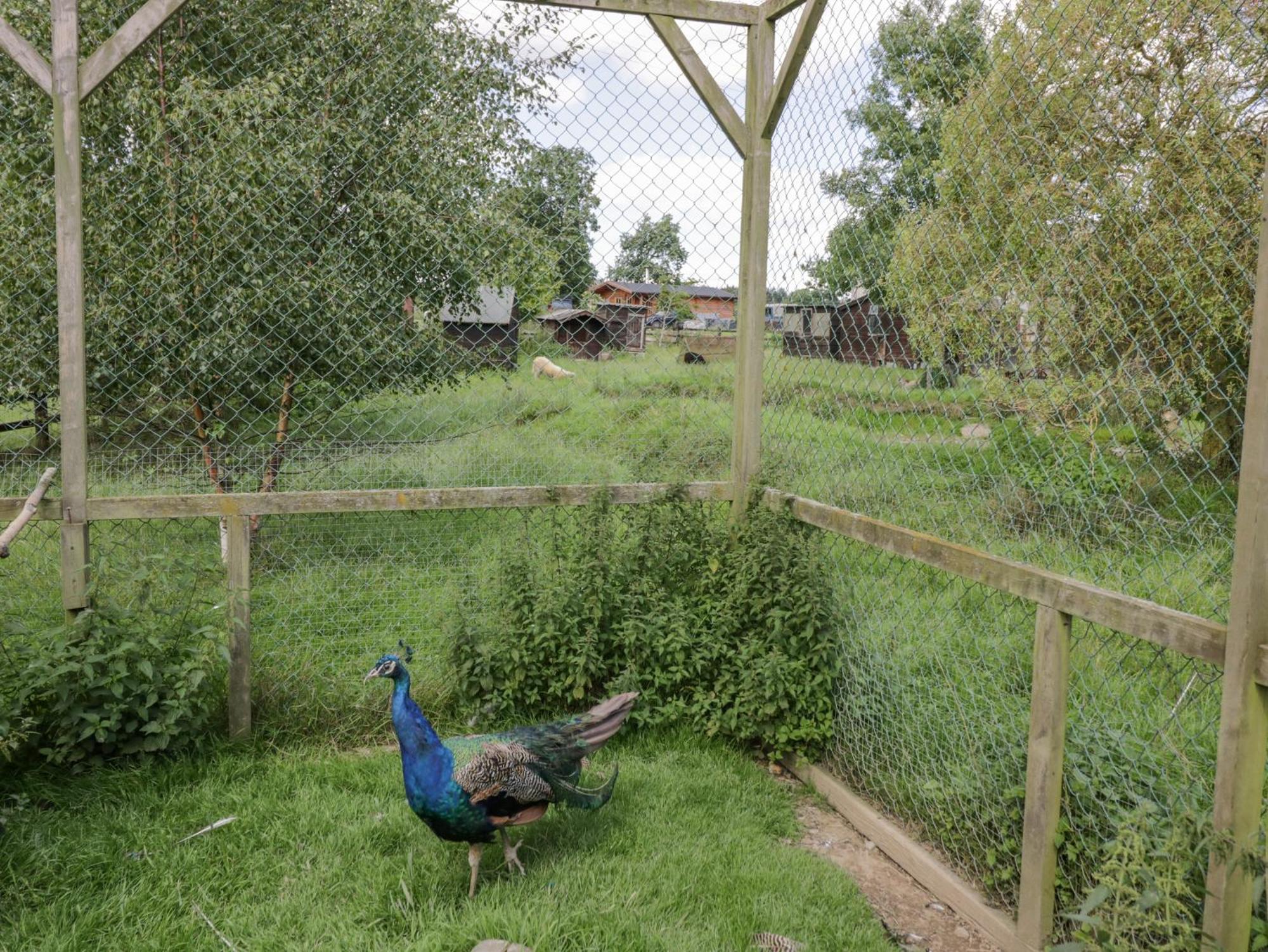 Вилла Kite'S Nest Eaton  Экстерьер фото